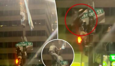 Eagles fan, 18, dead after falling from light pole